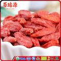 Gesunde Snacks Wunder Beere gefrorene Früchte Wolfberry Ningxia Goji Beere